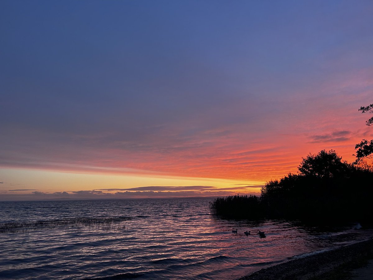 gorgeous morning here in Derryadd on Lough Neagh’s south shore ♥️🙌🏽
#loughneagh <a href="/angie_weather/">angie phillips</a> <a href="/barrabest/">Barra Best</a>
