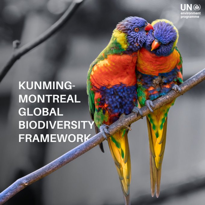 @UNEP
 This week, Nation are coming together in #Nairobi to support the #KunmingMontreal #GlobalBiodiversity Framework.
Goal is to translate international commitments into concrete steps to #BuildBackBiodiversity, guided by the greatest available science.
#ClimateAction