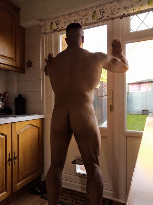 roymusclemaster