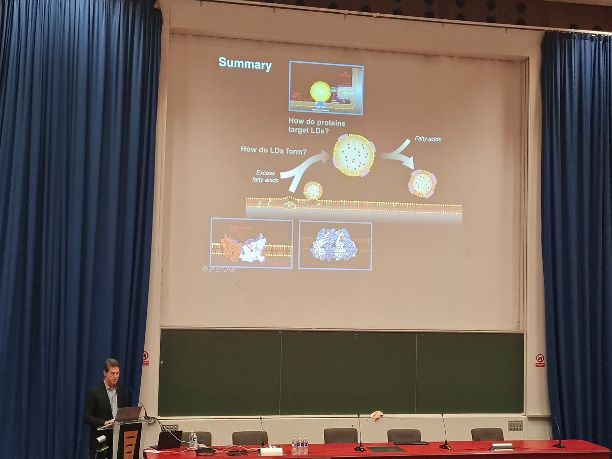 Andrey Klymchenko 🇺🇦 (@aklymchenko) on Twitter photo GERLI meeting in Paris dedicated to lipids started with brilliant talk by Robert Farese <a href="/FandWLab/">Farese & Walther Lab</a>, one of the founders of research on #lipid #droplets. GERLI meeting in Paris dedicated to lipids started with brilliant talk by Robert Farese <a href="/FandWLab/">Farese & Walther Lab</a>, one of the founders of research on #lipid #droplets.