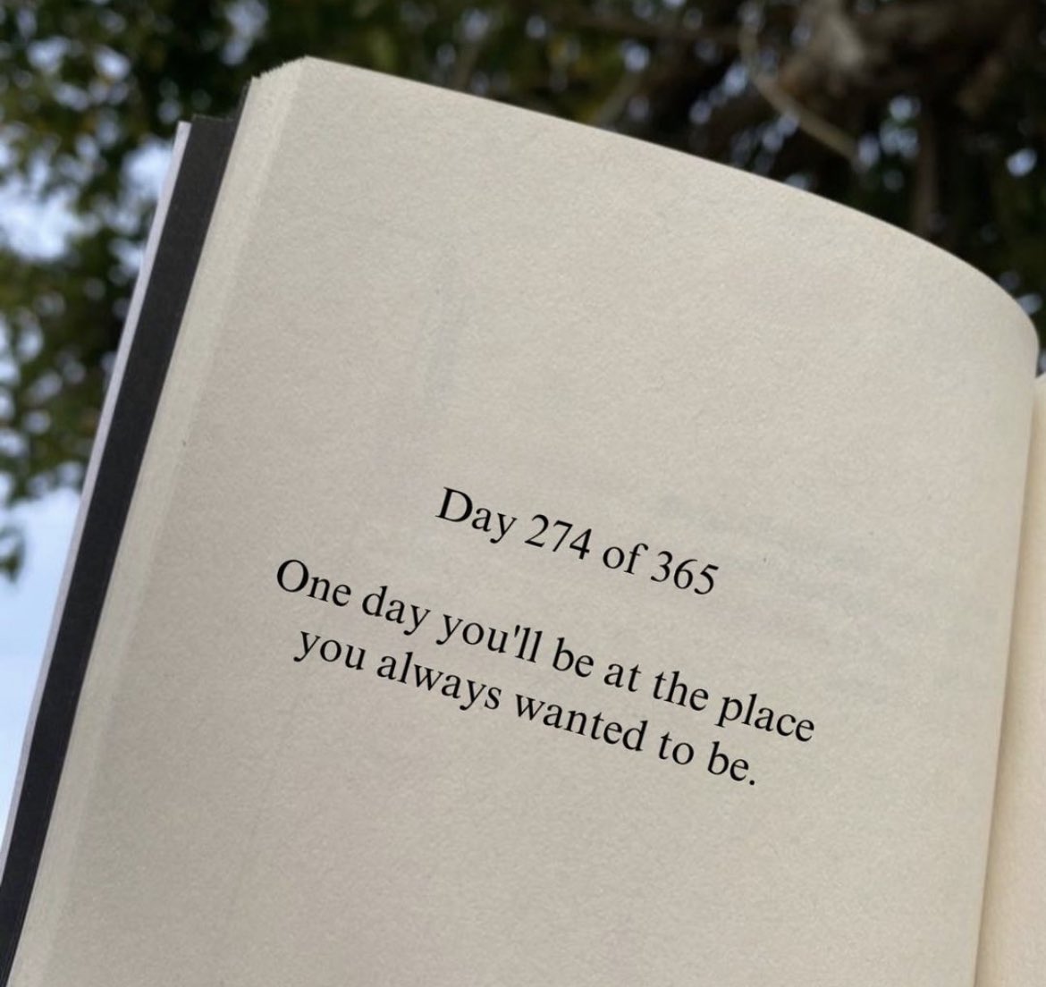 Saumya Singh (@saumya1singh) on Twitter photo 