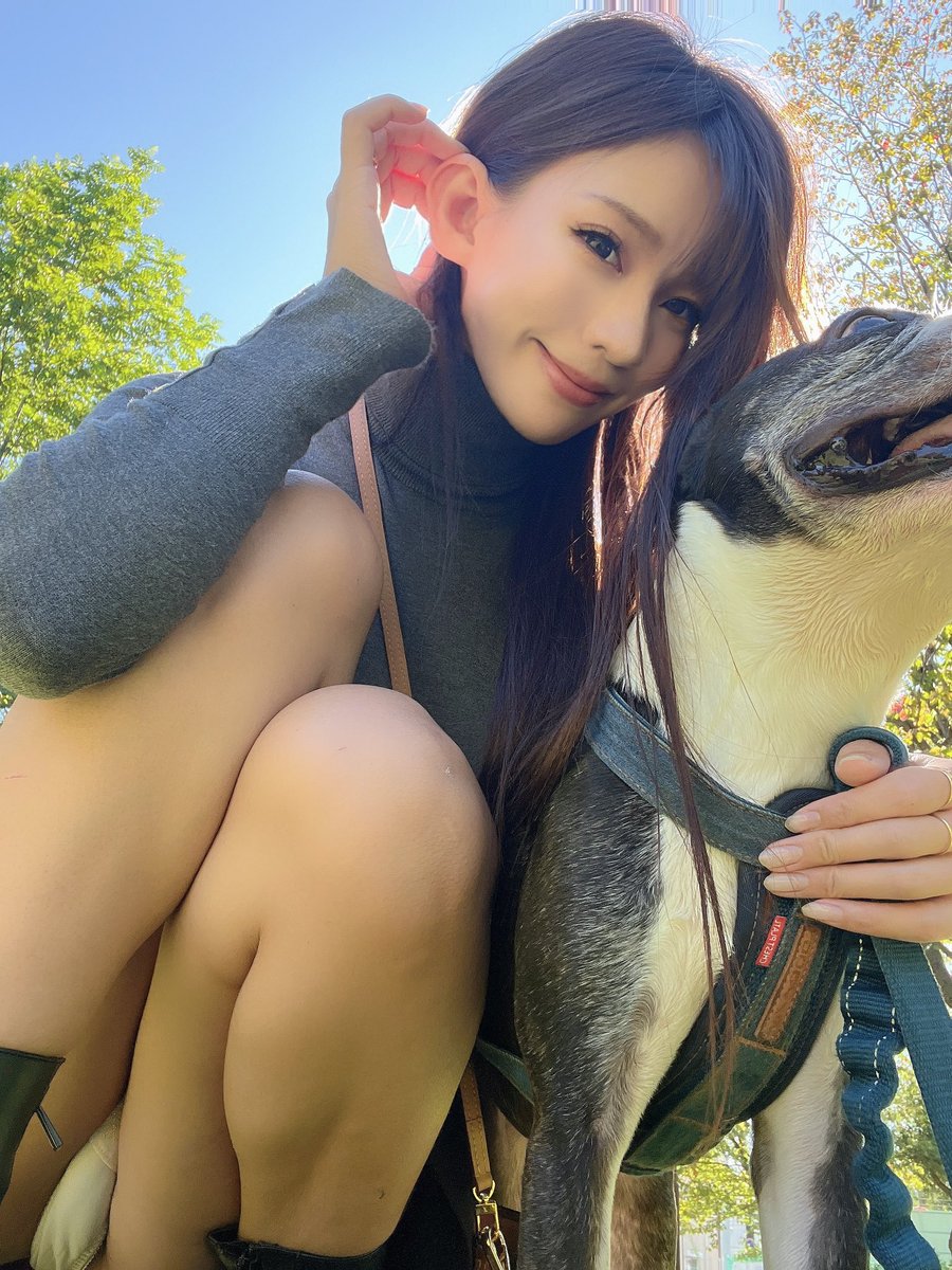 おはよう〜。
同棲して3年経つ大切な🐶の紹介♡名前はボス。いつもボスの力が強すぎてお散歩中引っ張られちゃう🥺わたしがお散歩させられてるみたい https://t.co/nLPho0DuHN