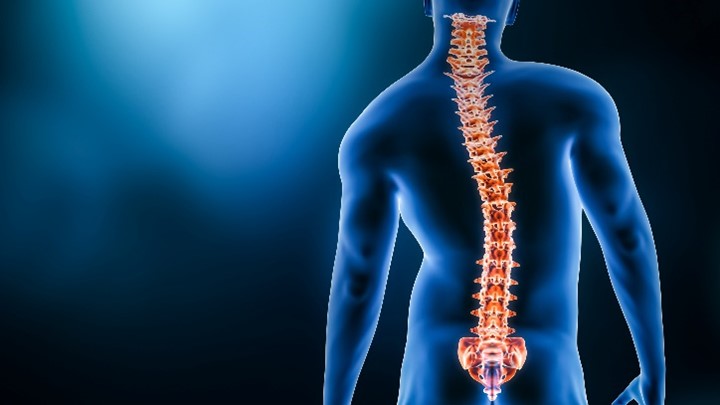 Surgeons at Och Spine at #NYP are always working to pioneer techniques for complex spine conditions. On #NYPAdvances, read about a novel method for improving coronal alignment after surgery for spinal deformities: nyphosp.co/48SXeEv #MoveYourSpine @ColumbiaMed @WeillCornell