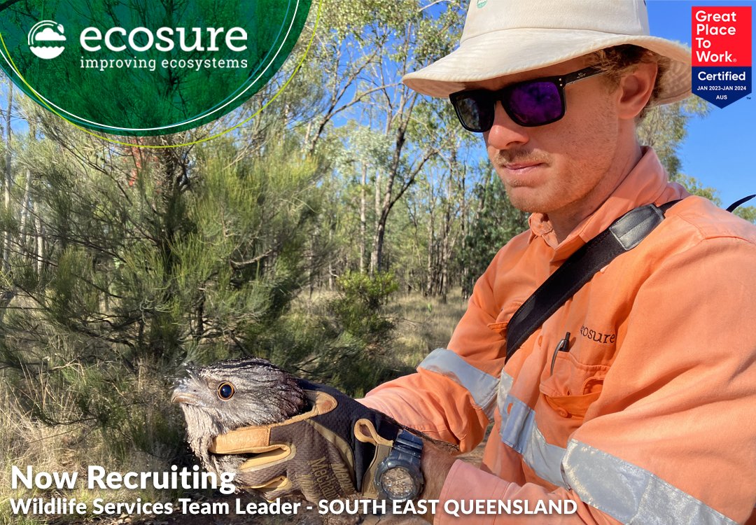 Exciting opportunity! Join our team as a Wildlife Services Team Leader in South-East Queensland. Ecosure, Australia's leading environmental consultancy, is on a mission to improve ecosystems worldwide. Check out our careers page to apply and learn more. #nowrecruiting
