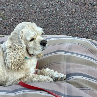 roxyjoe3's tweet image. #NewProfilePic