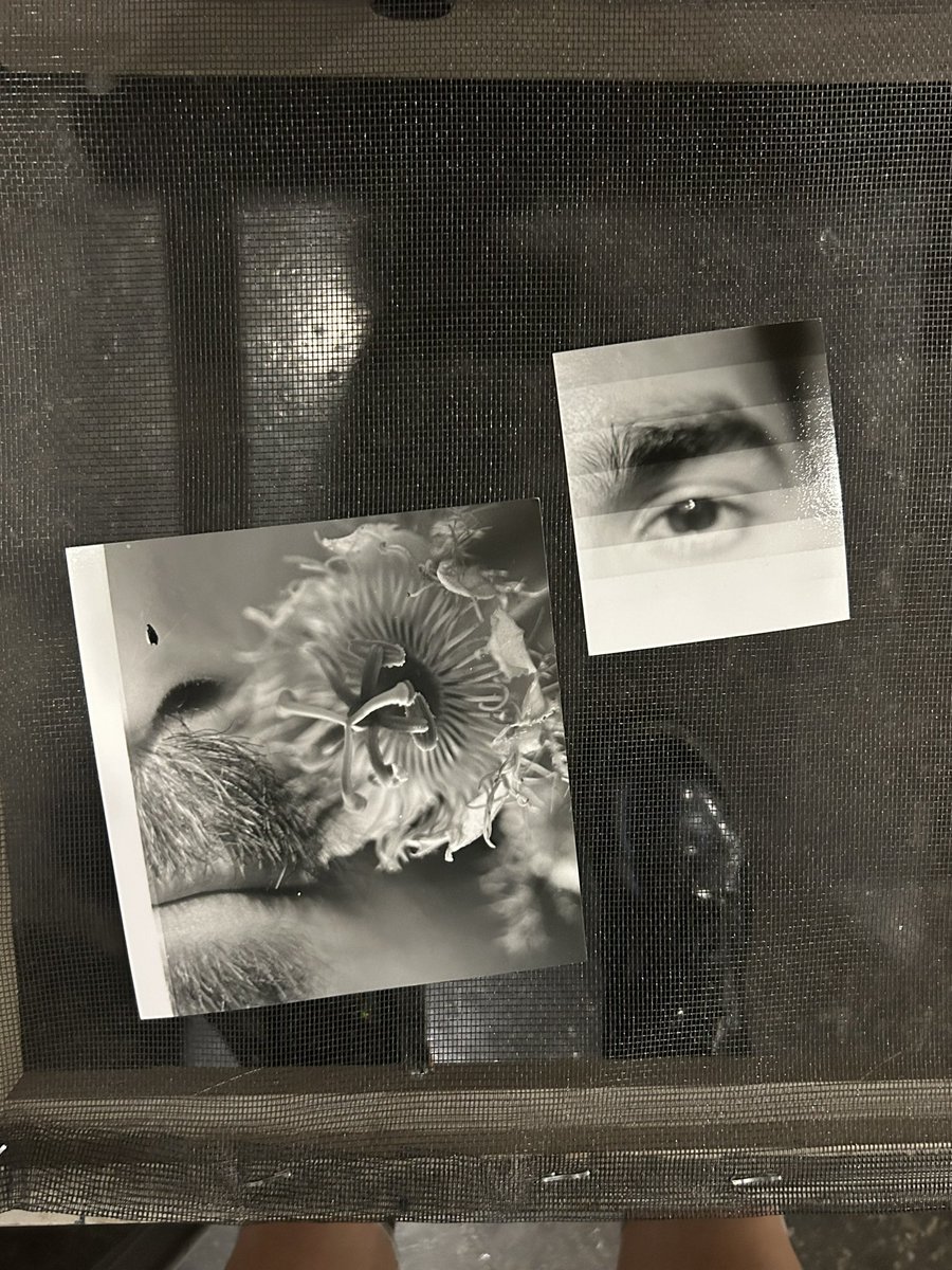 vonpcock's tweet image. I wish my brain wasn’t so consumed with emotions otherwise I would have gotten more done.. but here is a preview of what I’m working on. #4x5 shots being double exposed in the darkroom #viewcamera #film