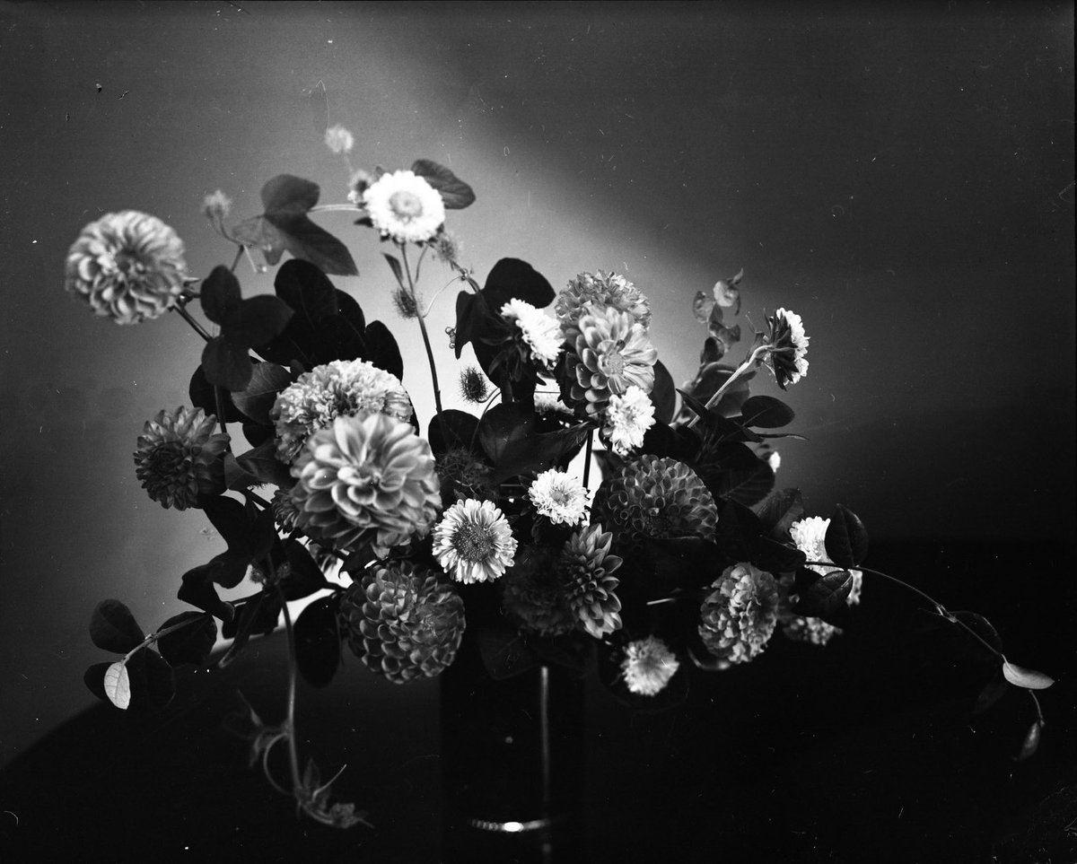 vonpcock's tweet image. B&amp;amp;W #4x5 still life on #viewcamera negative scan