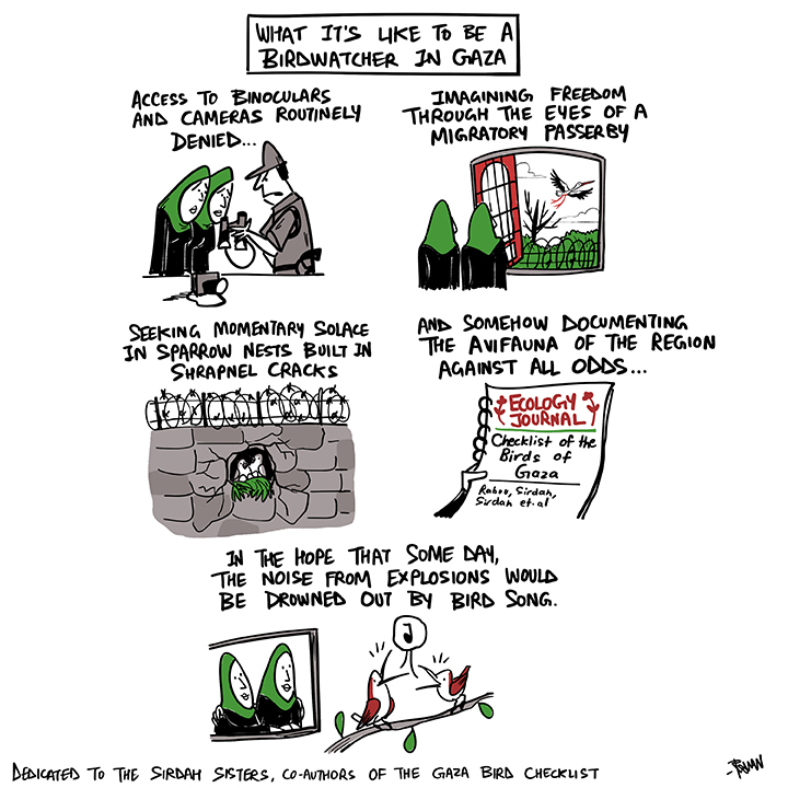 Green Humour (@thetoonguy) on Twitter photo What's it like to be a birdwatcher in #Gaza? Read thedailybeast.com/how-palestinia… . dedicated to the Sirdah sisters,co-authors of the Gaza checklist (scirp.org/journal/paperi…).
From my column with <a href="/TheHinduMag/">TH Culture</a>
#palestine #war #israel #greenhumour #birdwatching #birds #science What's it like to be a birdwatcher in #Gaza? Read thedailybeast.com/how-palestinia… . dedicated to the Sirdah sisters,co-authors of the Gaza checklist (scirp.org/journal/paperi…).
From my column with <a href="/TheHinduMag/">TH Culture</a>
#palestine #war #israel #greenhumour #birdwatching #birds #science