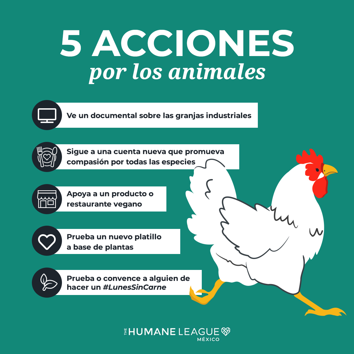 ¿Qué podemos hacer para lograr un mundo más compasivo para los animales? 🤔 ¡Di NO a la explotación de granjas industriales y SÍ al respeto y la #libertad que merecen! Te compartimos 5 acciones que podemos hacer desde lo individual por los animales, ¿cuál otra agregarías?