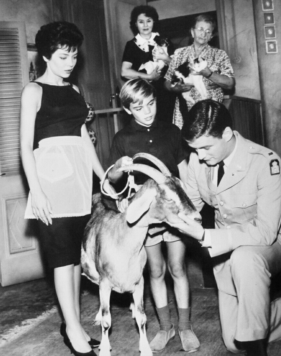FrankMalfitano's tweet photo. FORGOTTEN TV SHOWS: DON’T CALL ME CHARLIE, 1962-63 NBC #DontCallMeCharlie #tvshow #sitcom #army #veterinarian #1960s  #NBC #JoshPeine #ArteJohnson #LindaLawson #AlanNapier #JohnHubbard #Paris #forgottentvshows https://t.co/2AE6rvElwL