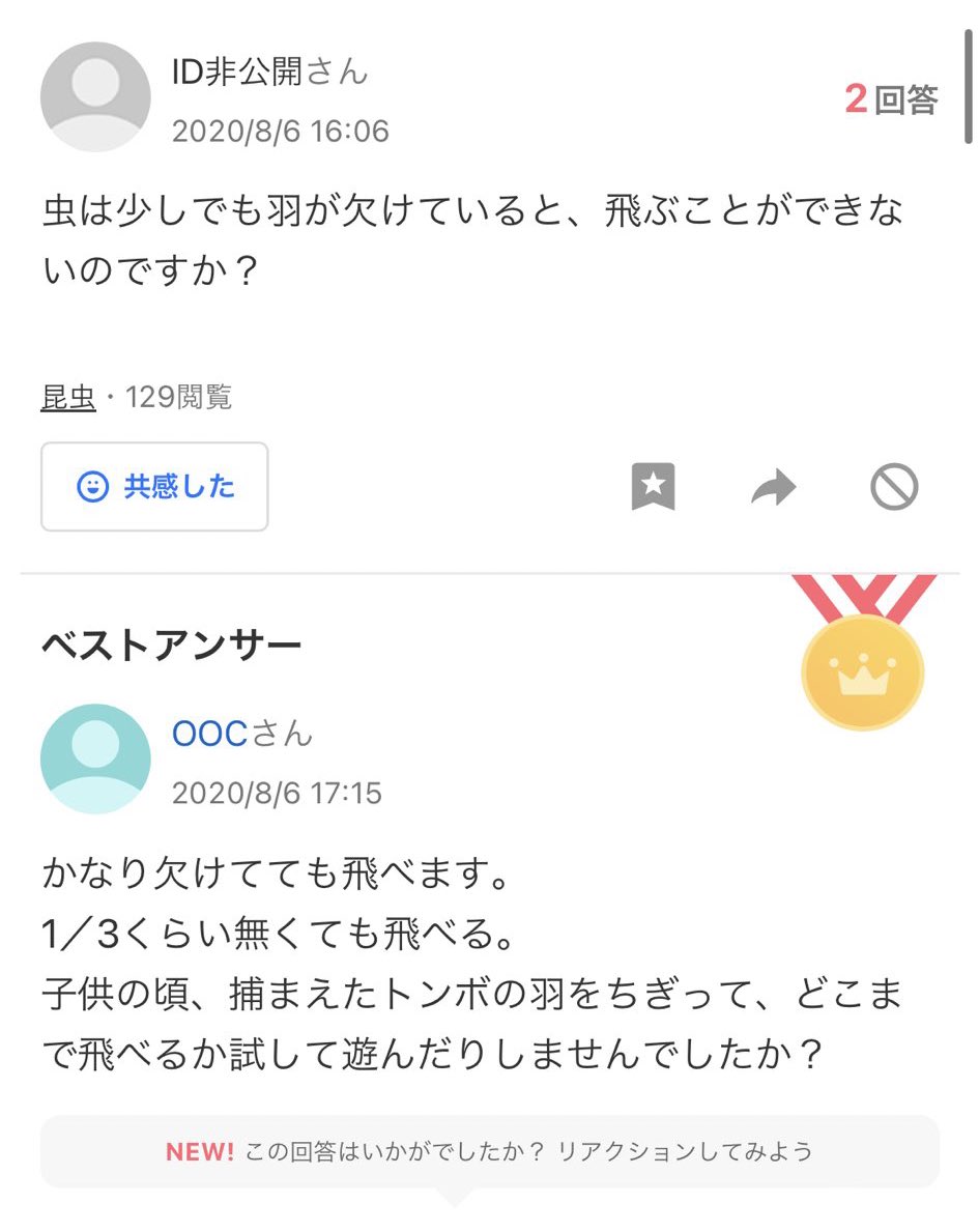 Yahoo!知恵袋迷言集 tweet media