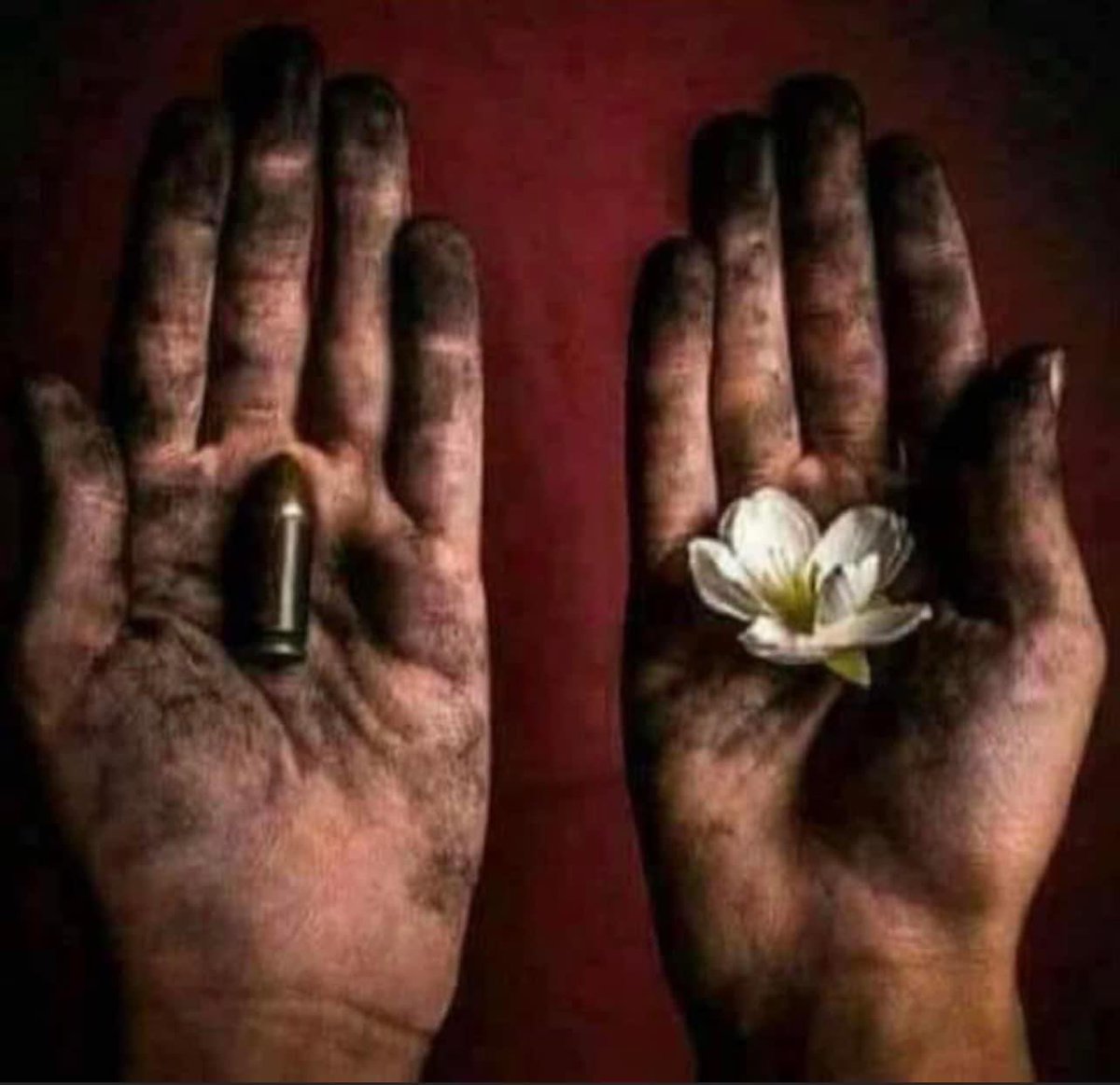 mohamad_trad88's tweet photo. ستنطفئ رائحة البارود وتفوح رائحة الياسمين من فوهة البنادق 🙏🇵🇸
#صباحكم_مقاومة https://t.co/n9gLM7os0n