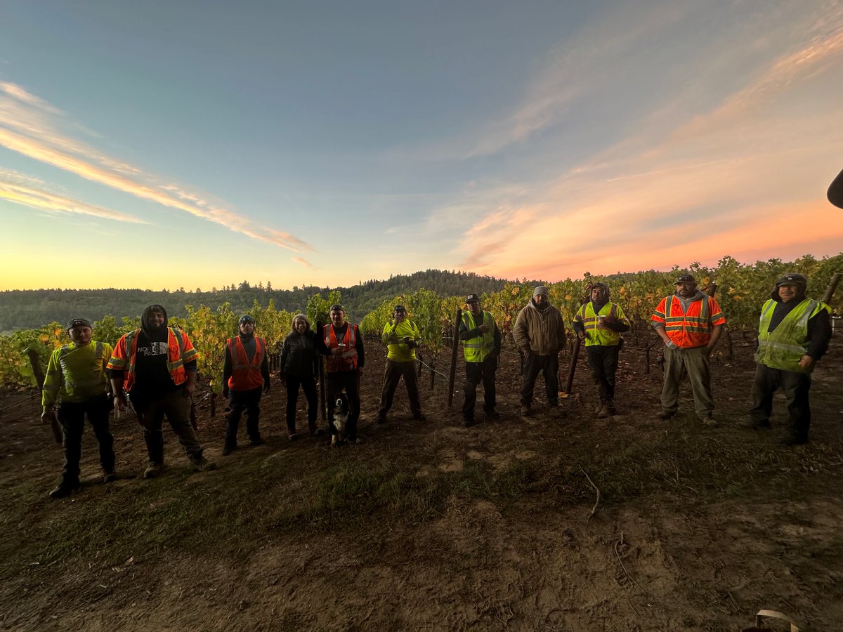 Marimar Torres tweet media