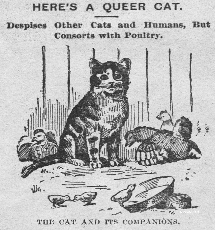 Yesterday's Print tweet media