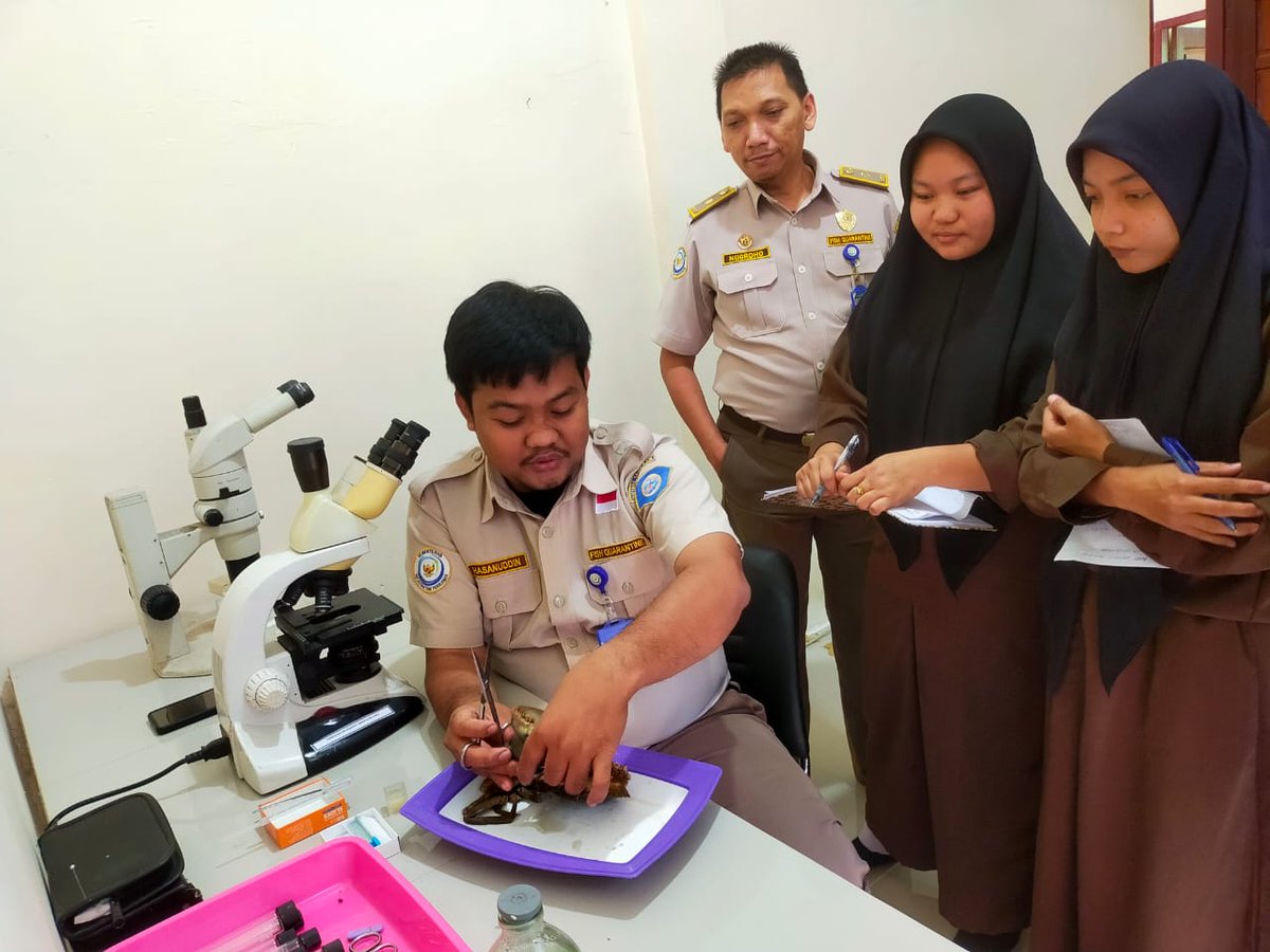 BKIPMNunukan's tweet photo. Laporan Giat Wilker Nunukan
Selasa,17/10/2023
#salambahari
Melakukan pembelajaran Pengujian Parasit pada komoditi perikanan Kepiting Bakau Hidup terhadap siswa PKL dan personil BKIPM Nunukan
@bkipm_kkp
@BKIPMTarakan
#KKPThrive https://t.co/LLm12HTzDi