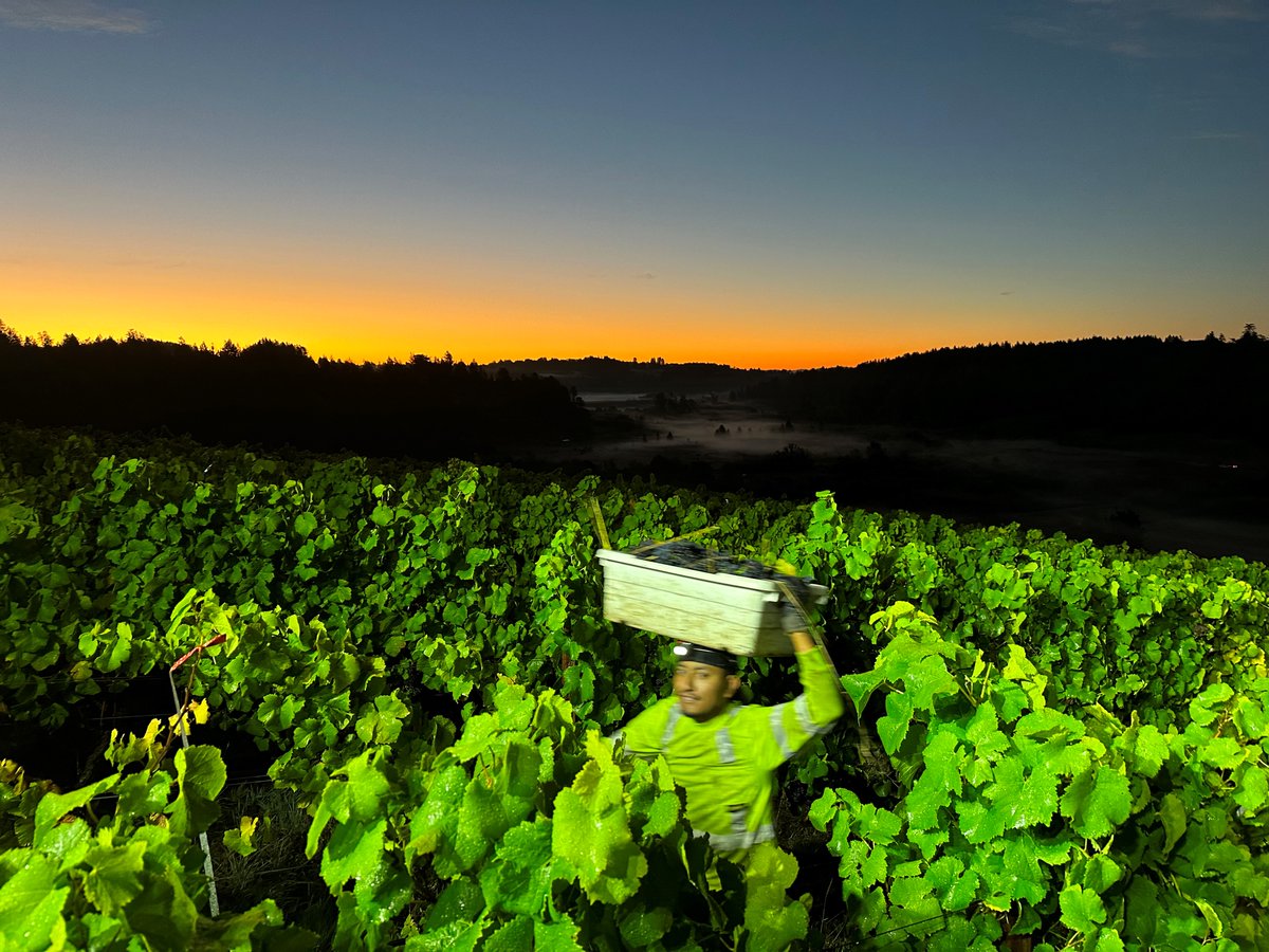 Marimar Torres tweet media