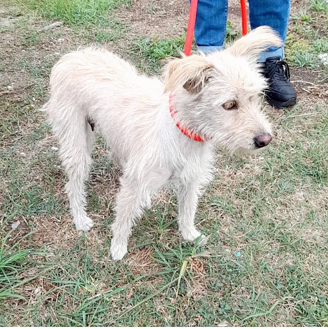 Greta Fanti tweet media