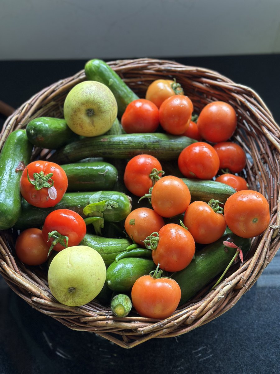 FoodieOpen's tweet photo. Fresh produce #eathealthy #openfoodie #frsthand #freshfood https://t.co/1xk1weUU4t
