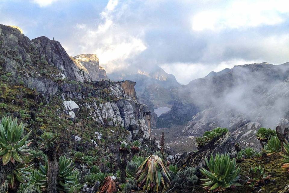 The hike may be difficult, but the experience is always remarkable

#adventuretours #mountainclimbing #mtrwenzori #rwenzorimountains #hiking #hikingadventures 
📸courtesy