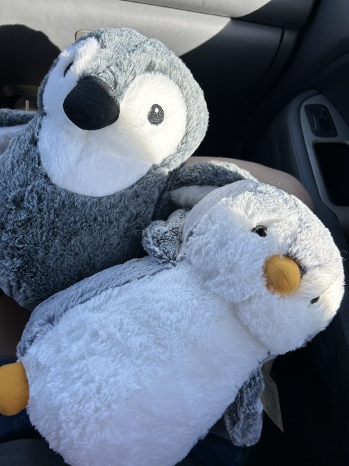 My cute plushies from my aquarium visit! https://t.co/YR7fehzDdN<a href="/tag/asian"class="tags"><span>#asian</span></a><a href="/tag/asianfeet"class="tags"><span>#asianfeet</span></a><a href="/tag/asiandomme"class="tags"><span>#asiandomme</span></a>