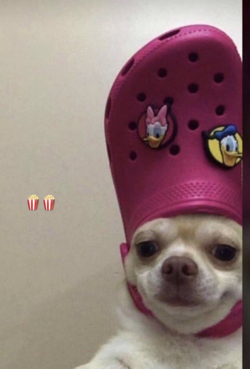 HectorJoeC's tweet photo. If i ever say “i have that dog in me” this is the dog https://t.co/1aVLougPpl
