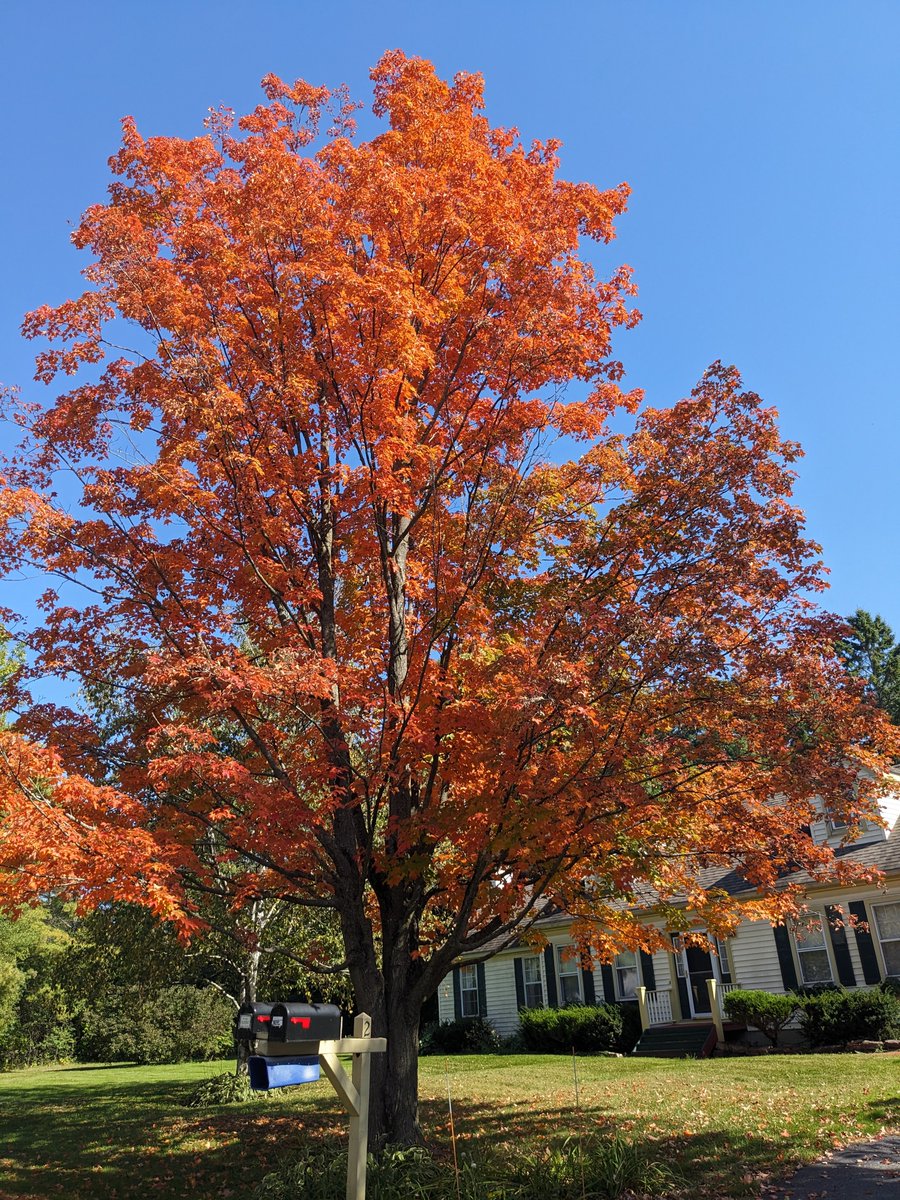 Check out this recent trip I booked with <a href="/travalacom/">Travala.com 🏨 ✈️</a> getting over to the east coast and earning some AVA as well as getting discounts. easy booking experience and great time off enjoying the fall foliage.
#TravalaAmbassador