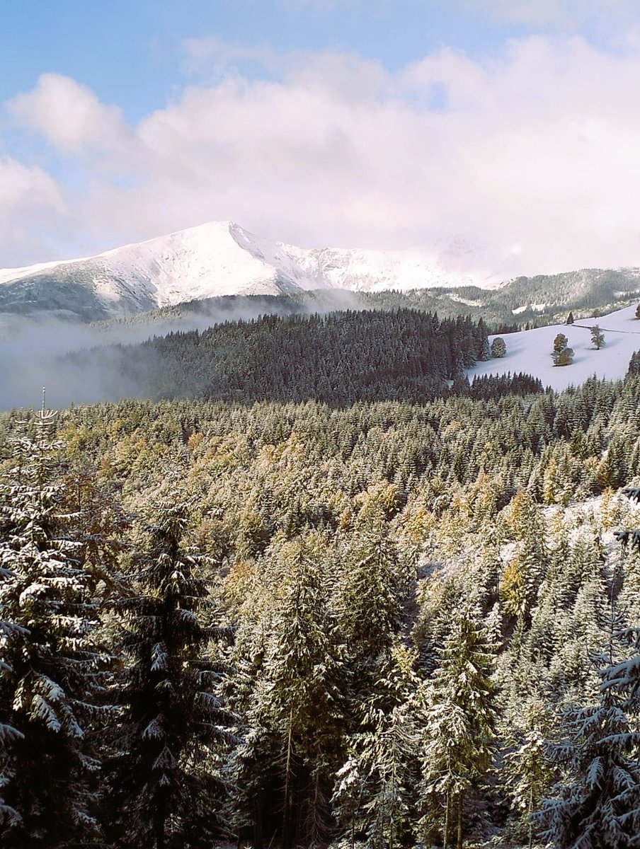 RNP_Romsilva's tweet photo. Și, iată, că la munte a cernut suficient cât să se învelească înălțimile cu alb.🏔️😶‍🌫 Imagini de ieri❄Pasul Rotunda cu vedere spre Vf Roșu☃️
#firstsnow #octobersnow #Romanian #NaturePhotography #nationalparks #naturelovers #mountains #view https://t.co/mCjPZk2Fm5