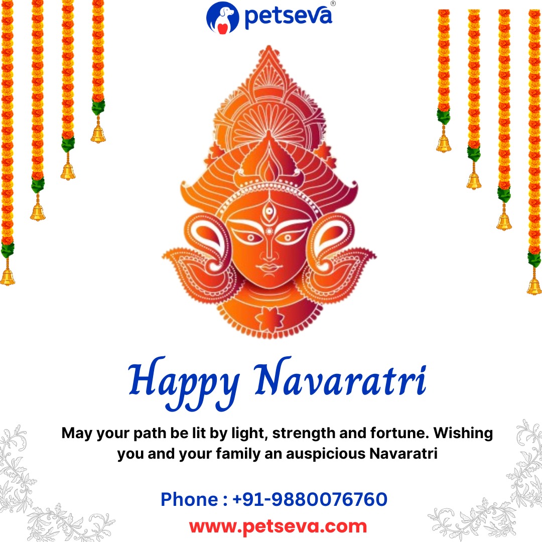 pet_seva's tweet photo. Wishing everyone a blessed Navaratri!
#Navratri #navratrispecial #veterinaryclinicnearme #veterinary #petseva #petcare #Veterinarian #Vet #Pet #vetnearme #digitalplatform #petparents #petowners #dogs #cats #grooming #petboarding #petfood #petaccessories https://t.co/h4A4KOjetM
