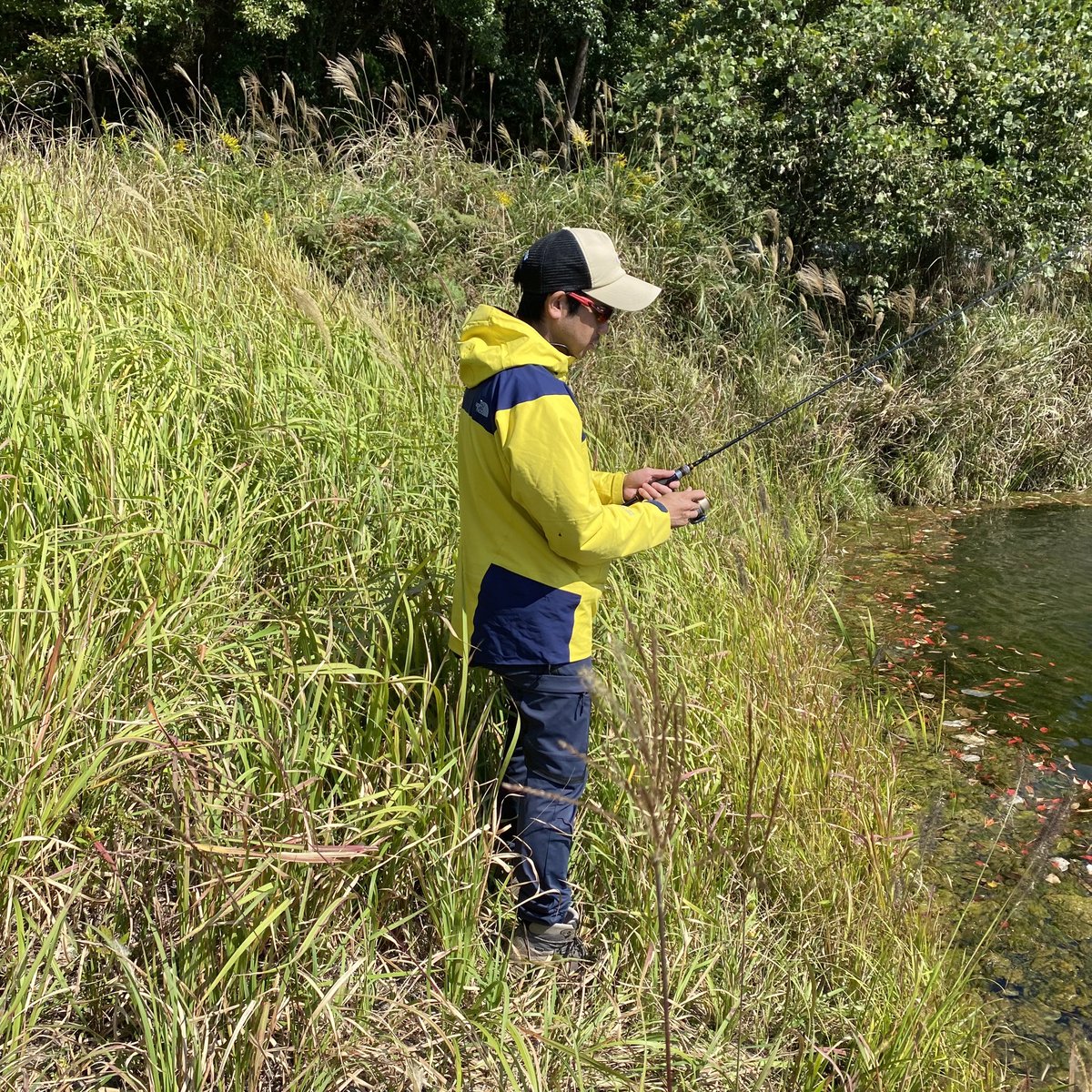 バス釣りなるものに誘われ、行ってみた‼️
結果は、ボウズ。笑

これも奥が深いな…

#カブ主
#vs池の主
#なんでもやってみる精神
#根掛かりしすぎ
#初めての漁券
#釣れんやん