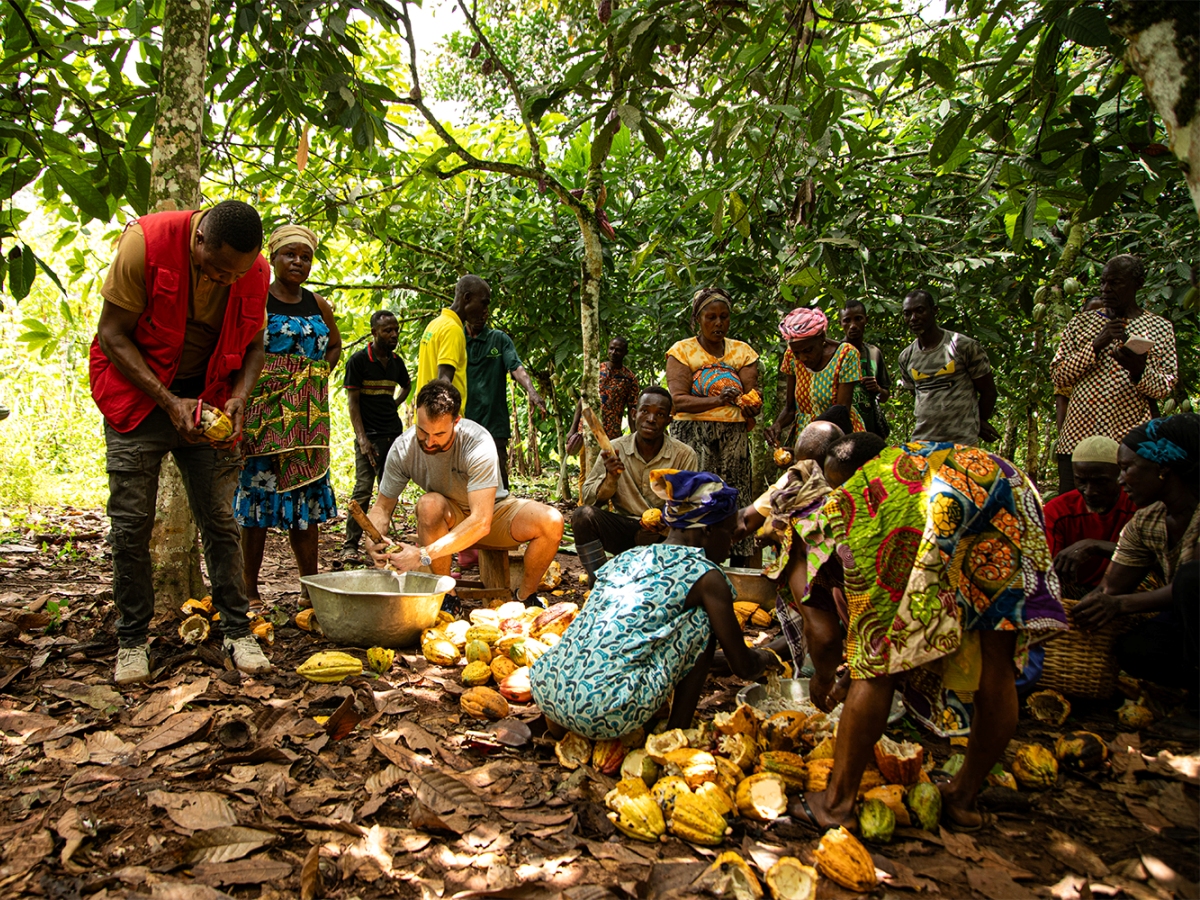 Whittaker's Chocolate has reached a significant milestone in ethical sourcing, reaching 100% traceability of all the cocoa beans used to make its chocolate 🍫🌍
More: hubs.li/Q025KsXT0
#Whittakers #EthicalSourcing #Sustainability #traceability #RainforestAlliance #fmcgbiznz