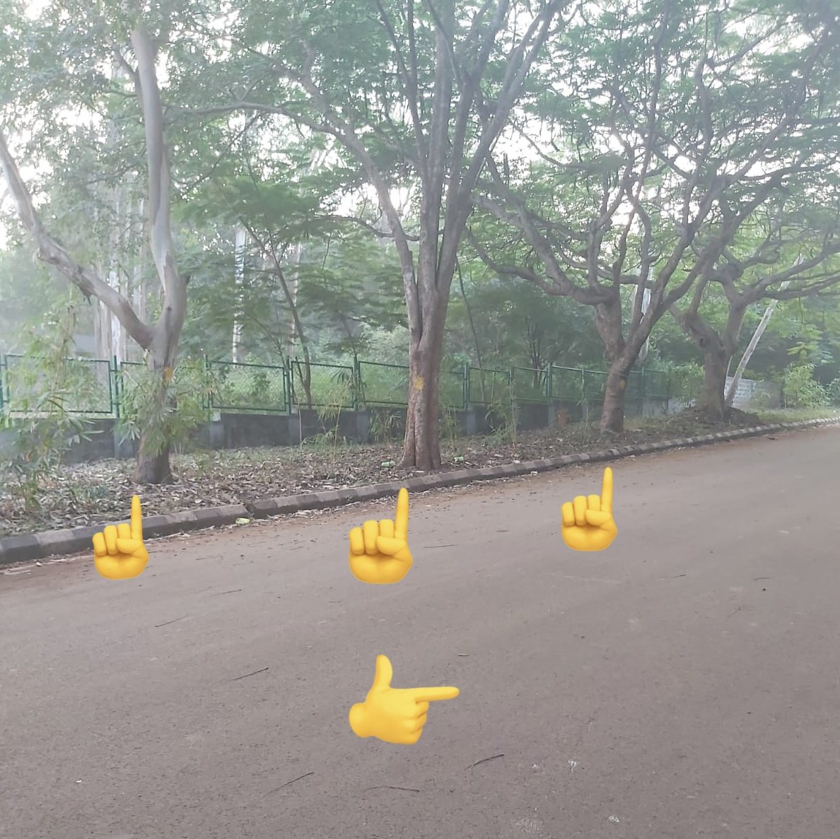 JogarishettarV's tweet photo. Lets Save them🥲💚.Now Trees inside Karnataka University Dharwad Campus will be chopped off due to road widening,have been marked With white,yellow colours.But already there exist a road in good condition.Why so again new roads?@arunkbh @aranya_kfd @eshwar_khandre @hublimandi :( https://t.co/j7zGSr1BV2