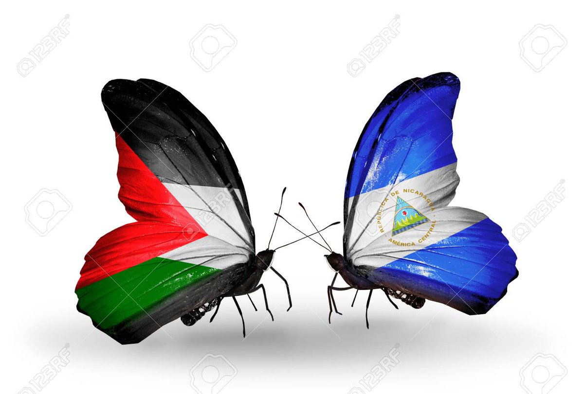 FslnSomos's tweet photo. El pueblo de #Nicaragua se solidariza con el pueblo de #palestina ante las barbaries agresiones que sufre por parte de Israel

#IsraelGazaWar #Hamas #GazaCity #PalestineGenocide
#FreePaleastine
#GazzeUnderAttack 
#ZionistTerror  #Gaza #adp2023 #ULTIMAHORA https://t.co/58w8pG2VP9