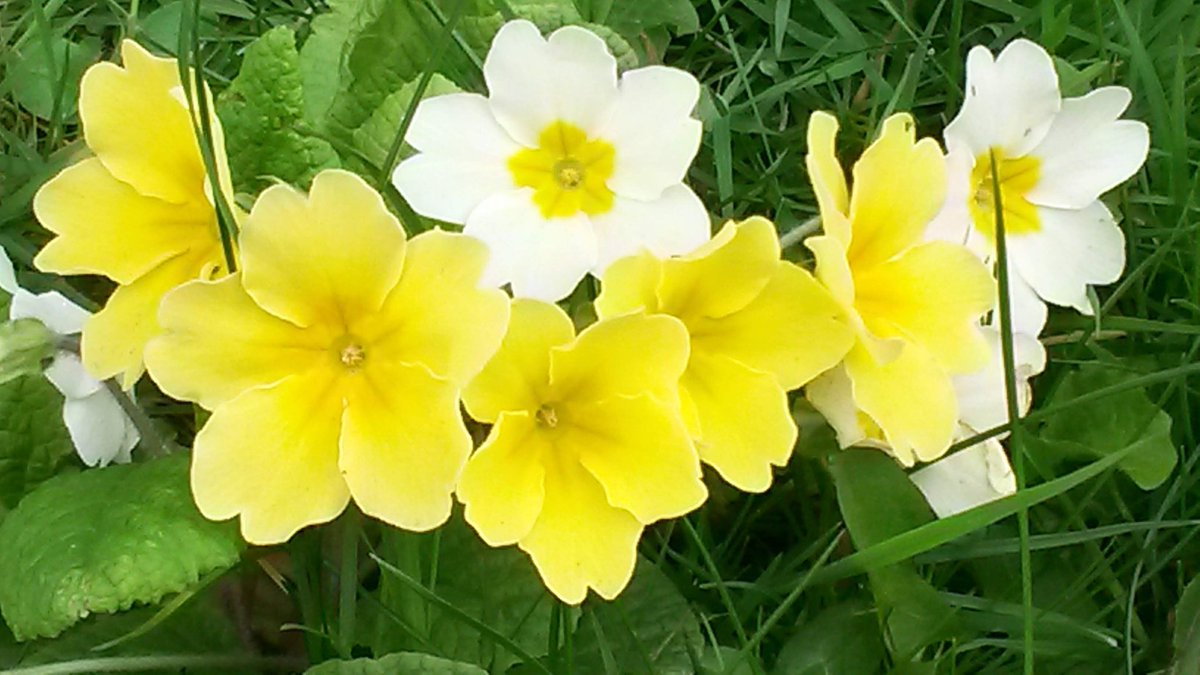 Morning Lovely Tweeters 💛