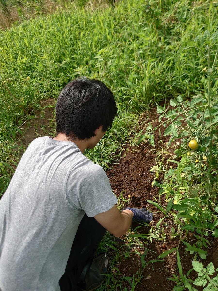 ひと夏の思い出✨
自分たちで作った野菜の収穫が1番楽しい🥬

#フリースクール
 #不登校支援
 #不登校
#引きこもり
#ゲーム依存