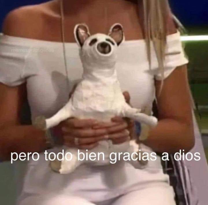 Cuando a pesar de todo lo que me pasa, sigo echándole ganas y trato de ver el lado positivo: