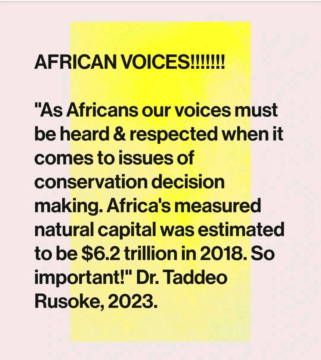 Listen to African Voices! @kabuniversity @NkumbaUni_News @8TechConsults @UNEP @AfricaKowanj @WildlifeClubsUg @ugwildlife @globalcompact @ABarirega @SustDev @NUP_Ug @Sdg13Un @UgandaUncovered @WildlifeEconomy @AfricanIIJ @TPC_Africa @AAU_67 @AfricaNoTobacco @jumuiya