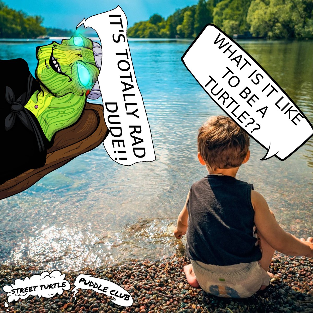 UndeadHacky's tweet photo. @StreetTurtlePC #Memes #StreetTurtlePC #NFT https://t.co/WdGL266F52