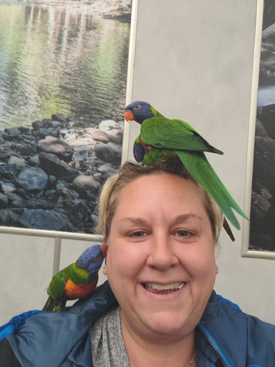 Good morning frens had a great day out #Colchesterzoo brought pots of honey to feed the lorikeets xx