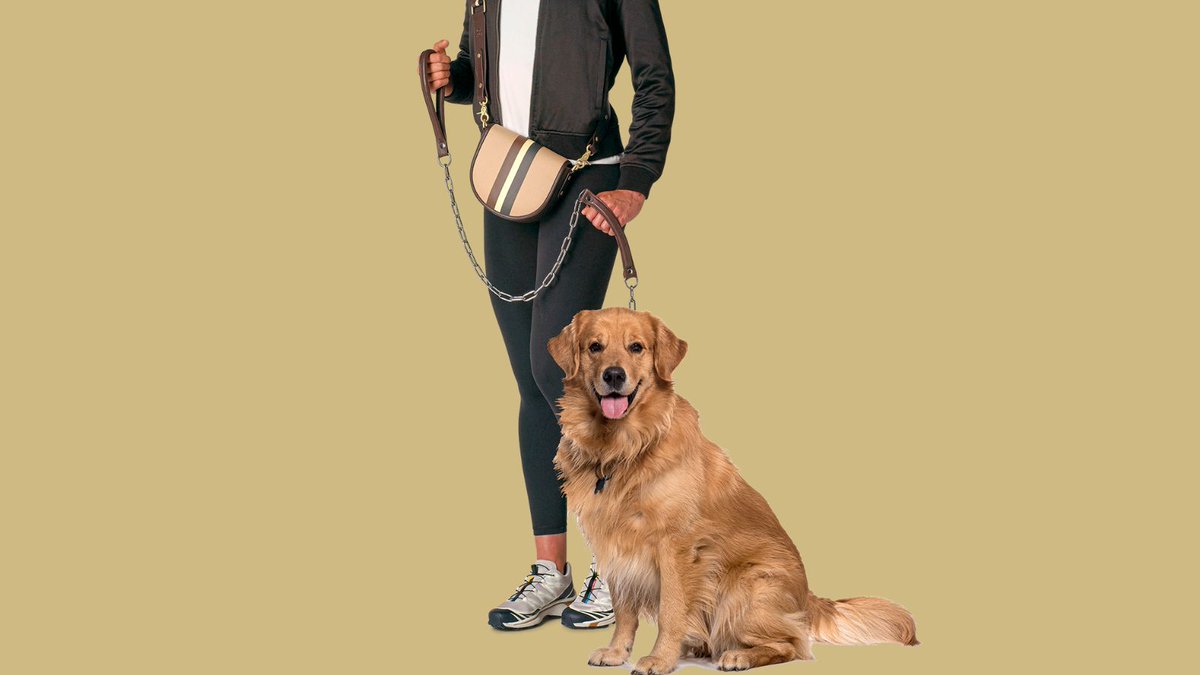 GadgetFlow's tweet image. TreatPurse: The stylish solution for dog owners everywhere. 🐾✨ 

This premium bag keeps your furry friend's treats and your essentials organized. #DogWalkEssentials #TreatPurse

gflo.us/treatpurse6