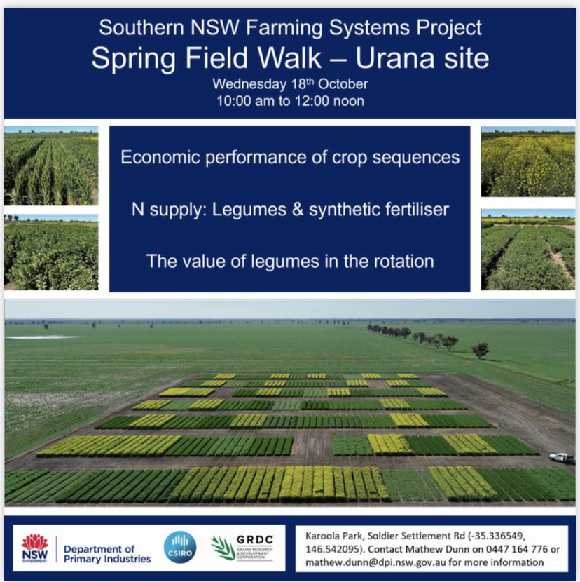 Heidi Gooden (@gooden_heidi) on Twitter photo Tomorrow18th October - legacy effects of crop sequences. ⬆️ stored water + ⬇️ synthetic N = ⬆️ financial gains <a href="/AgroJAK/">John Kirkegaard</a> <a href="/MathewDunn19/">Mathew Dunn</a> <a href="/tony_swan64/">Tony Swan</a> <a href="/theGRDC/">GRDC</a> <a href="/CSIRO/">CSIRO</a> <a href="/Farm_Link/">FarmLink Research</a> <a href="/RiverinePlains/">Riverine Plains</a> Tomorrow18th October - legacy effects of crop sequences. ⬆️ stored water + ⬇️ synthetic N = ⬆️ financial gains <a href="/AgroJAK/">John Kirkegaard</a> <a href="/MathewDunn19/">Mathew Dunn</a> <a href="/tony_swan64/">Tony Swan</a> <a href="/theGRDC/">GRDC</a> <a href="/CSIRO/">CSIRO</a> <a href="/Farm_Link/">FarmLink Research</a> <a href="/RiverinePlains/">Riverine Plains</a>