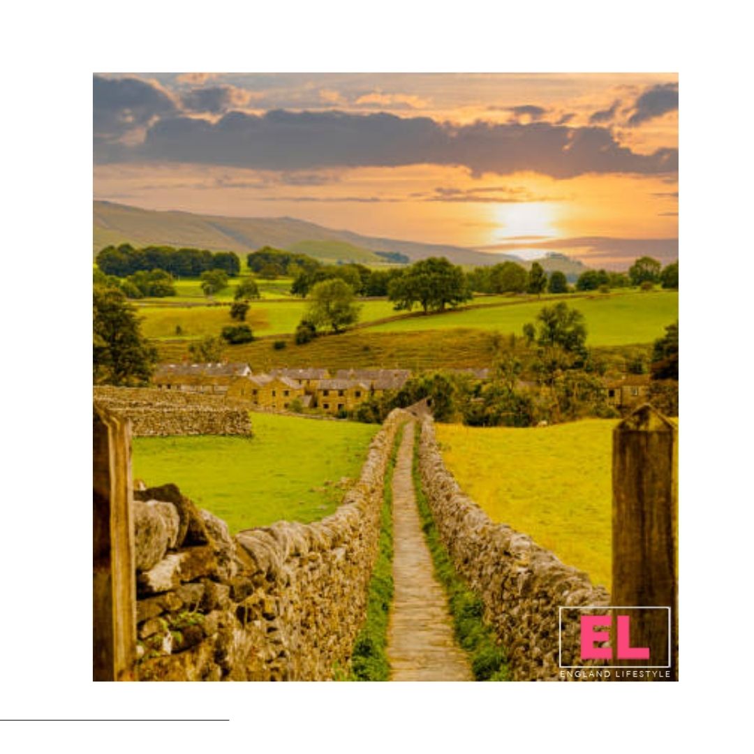 Wandering through the picturesque Cotswolds, where every turn reveals a new enchanting view 🌿

Ready to add a cheesy twist to this adventure! 🧀
.
.
.
#cotswoldExplorations #enchantedByViews #cheeseRollingCotswolds #scenicStrolls #natureRevelations #cheeseAdventure #cheese