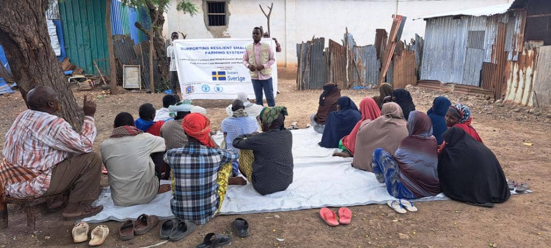 stsintersol's tweet photo. In preparation to #ElNino, we have been conducting door to door sensitization campaigns within the communities and especially those living in riverine areas.
#Elnin #campaign #HumanitarianAid #Jowhar https://t.co/J7c7Ryw7WJ
