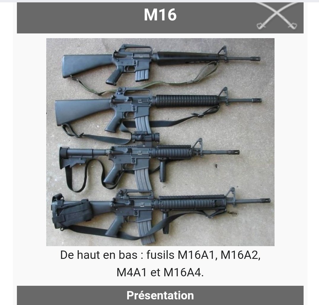 Le terroriste de #Bruxelles aurait une arme de guerre américaine de type AR15 / M16 ou M4, beaucoup plus puissante que les kalachnikovs. L'Ukraine est en train de devenir une bourse aux armes géante pour terroristes. C'était la pire idée d'envoyer des armes par millions à ce…