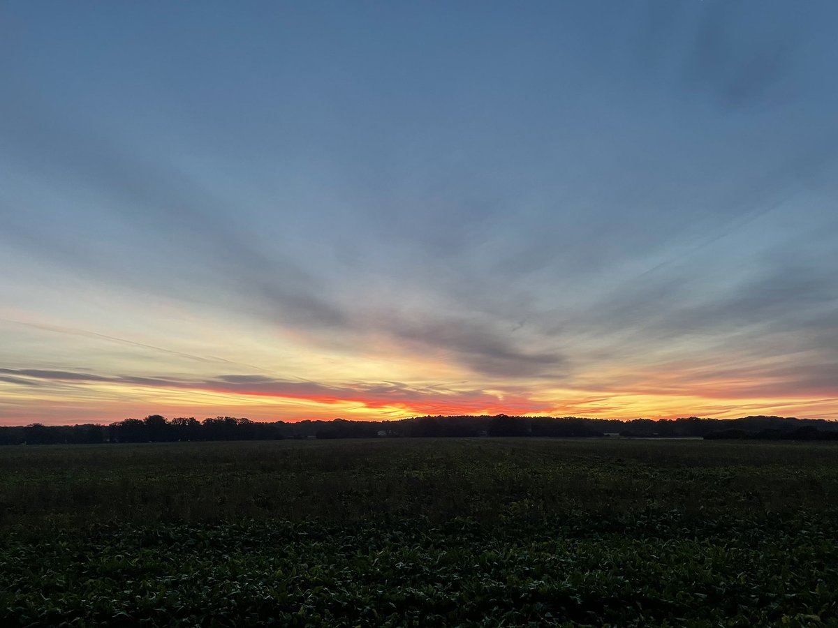 SimonTappin's tweet photo. Beautiful sunrise this morning #Norfolk https://t.co/G4xSRctoYV