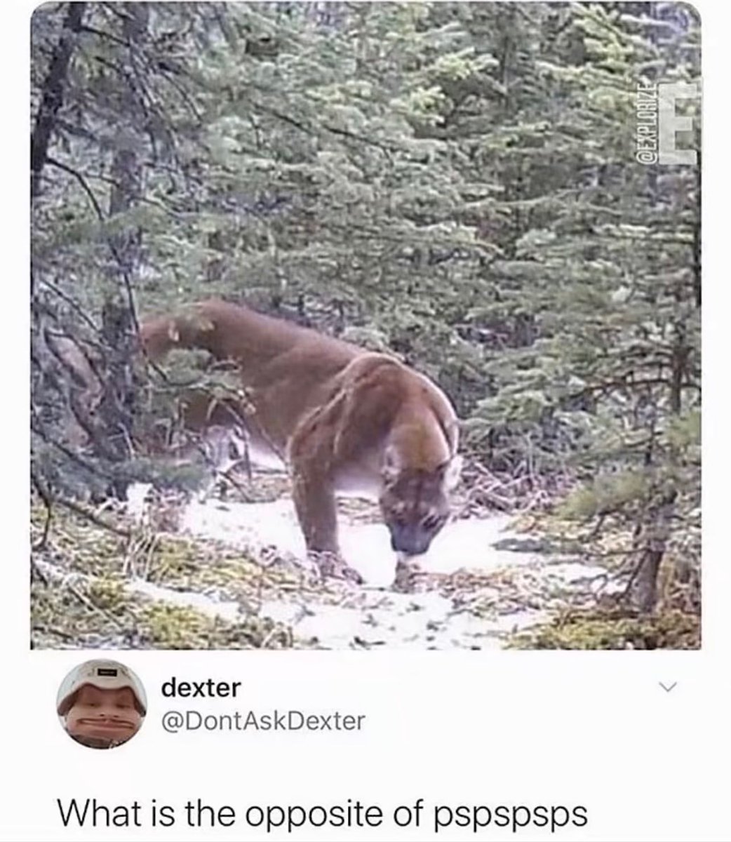 star 💫 (@stxrinsky) on Twitter photo 