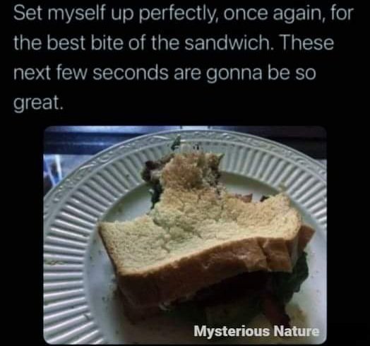 reecepedretti's tweet photo. I never share this stuff... but this one really hit home with me!! #bestbite https://t.co/YCFh3pCy2f