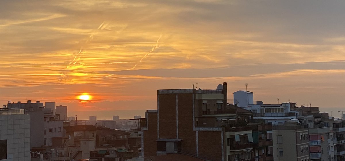 Despertar amb la bellesa
I el dolor gravat a trets
Aquest món de destrucció 
De violència, de terror
Esquerp, violent, terrible 
Partit pel dolor
Aquest món hostil perdut per
Una guerra sense sentit
#Gaza #Israel