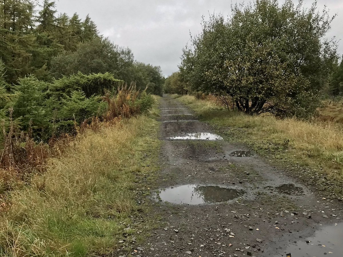 coal_legacies's tweet photo. Walking the trackbed of the old mineral lines and tramways between #Harthill and #Fauldhouse #Lanarkshire that served the collieries and #ironstone mines. Many small hints of past use survive.
#coal #miningheritage #railwayheritage #industriallandscape #explore https://t.co/2jQVphNVZ9