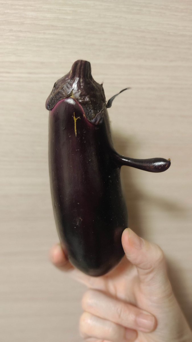 peacecalibratio's tweet photo. ピノキオな茄子！ https://t.co/clCUsKhP1v