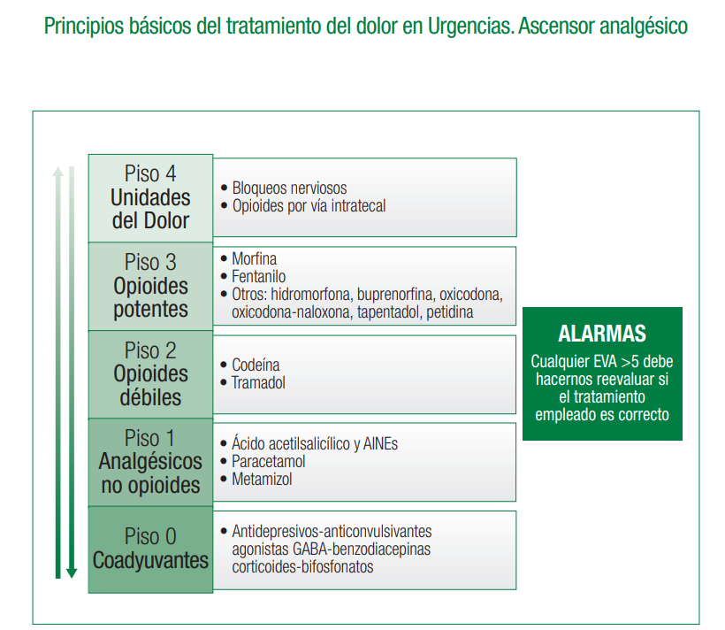 sefh_'s tweet photo. El uso de la 🪜"escalera analgésica" es un retraso para adecuado tratamiento de muchos cuadros dolorosos👉👉por ello se propuso cambiarlo por 🛗"ascensor analgésico" #DiaMundialContraElDolor

📚Guía rápida del manejo del dolor agudo en urgencias @GdSemes https://t.co/1fxIXDJEIH https://t.co/7H4K3Nz5oC